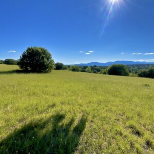 8 Pojoaque Loop, Alto, NM 88312