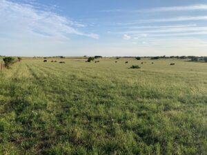 TBD Barnes Road Salado Bell Texas 76571