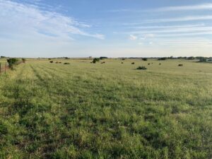 TBD Barnes Road Salado Bell Texas 76571