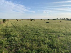 TBD Barnes Road Salado Bell Texas 76571