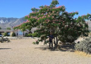 1791 Po Box, Lucerne Valley, CA 92356
