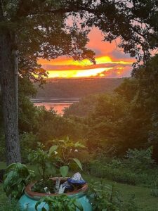 2050 Savage Rd, Kirbyville, MO 65679