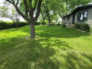 1696 H75 Rd, Delta, CO 81416