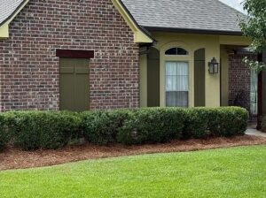 37321 Mill Park Ave, Gonzales, LA 70737