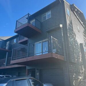 529 Eaglepointe Ct, Steamboat Springs, CO 80487