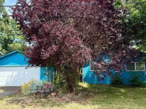 784 Dalke St E, Monmouth, OR 97361