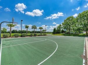12627 Wheatgrass Ct, Parrish, FL 34219