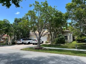 22201 SW 94th Ave, Cutler Bay, FL 33190
