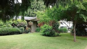 305 Rustic Pl, Eugene, OR 97401